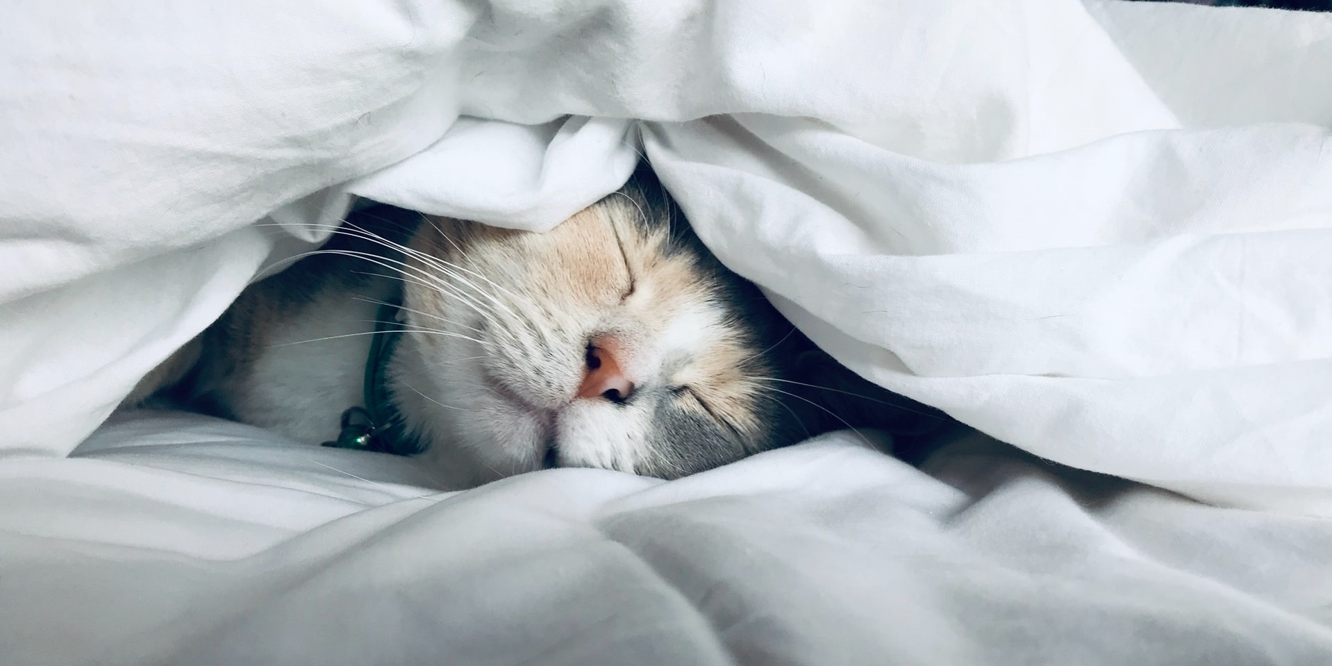 UK Sleep Brands - Digital Marketing Benchmark Report, Q2 2022 - Published Today